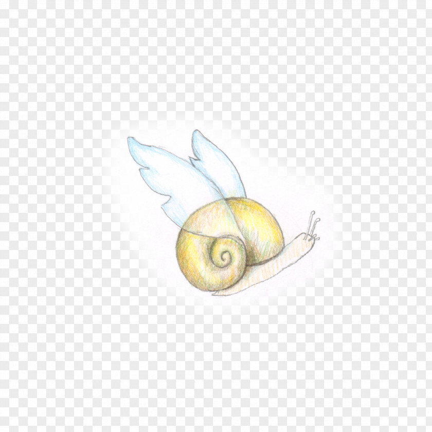 Ayano Ornament Snail /m/02csf Drawing Fruit PNG