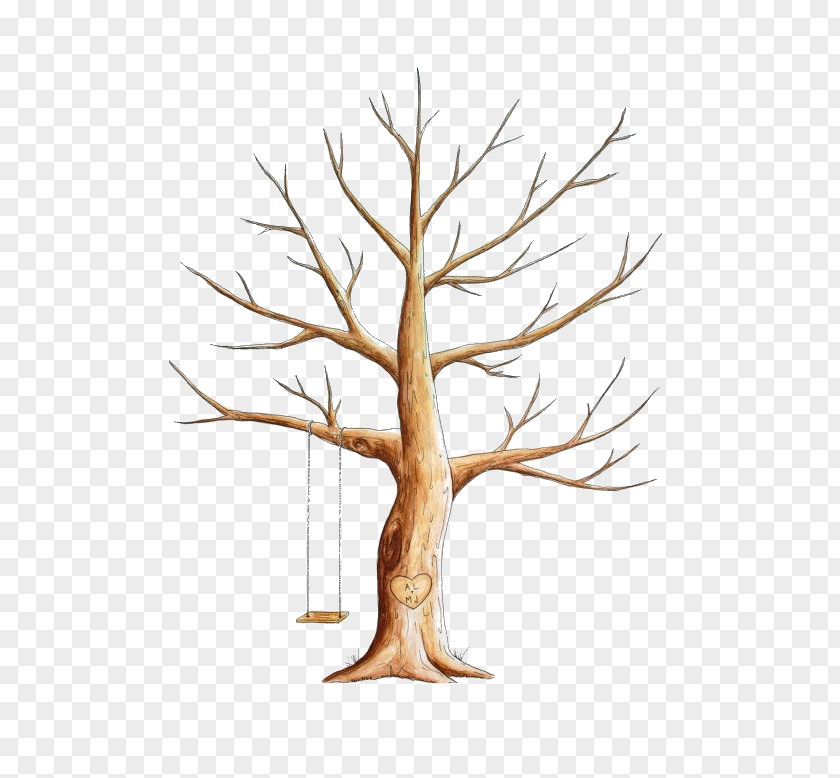 Brown Branch Tree Bird Fingerprint Árbol Del Tule Snag PNG