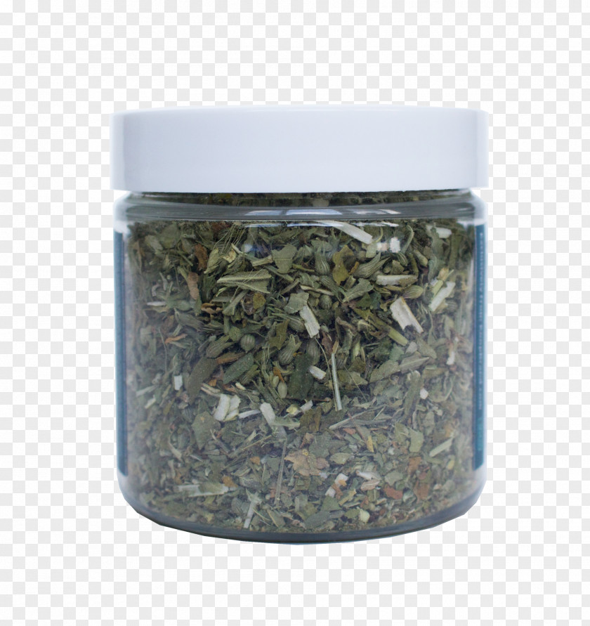 Cat Catnip Herb Actinidia Polygama PNG