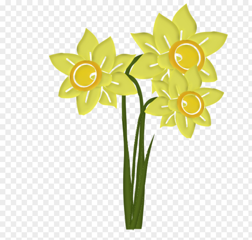 Flower Clip Art Daffodil Image PNG
