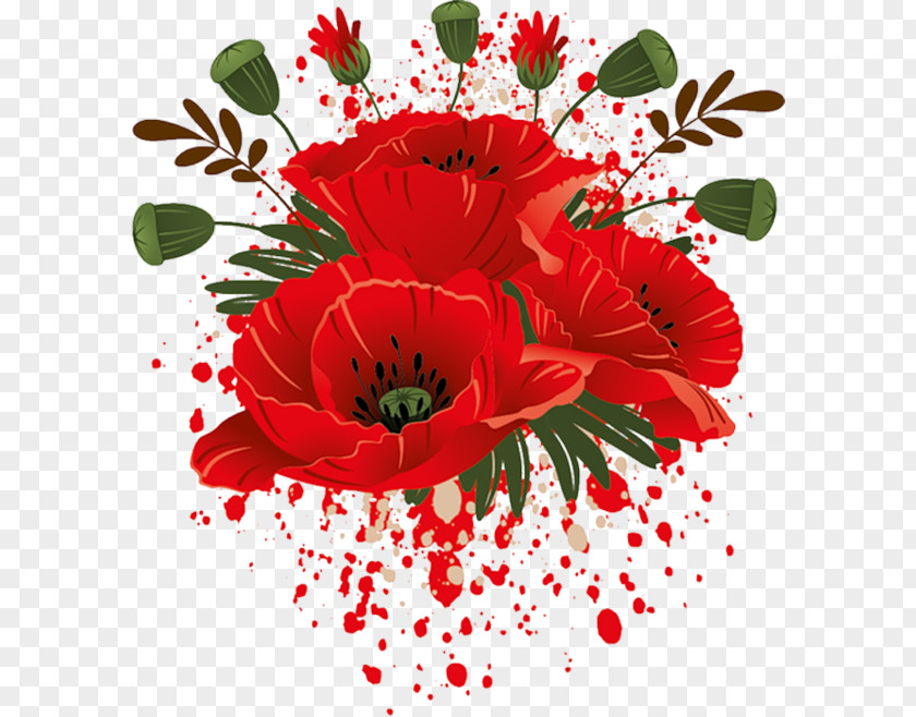 Flower Poppy Garden Roses Drawing Red PNG