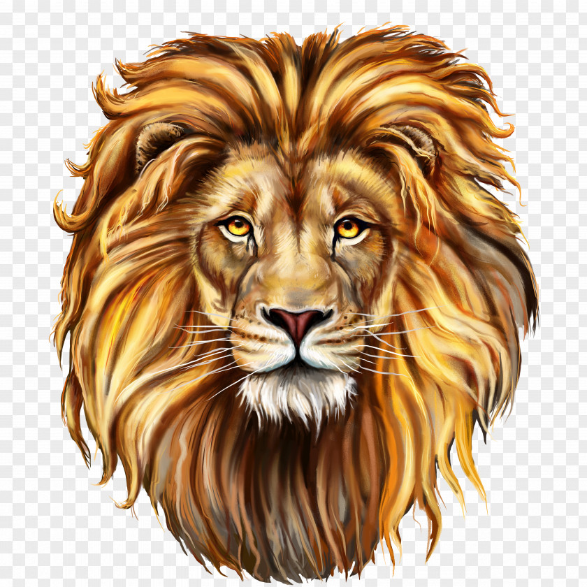 Lion The Red Shutterstock PNG
