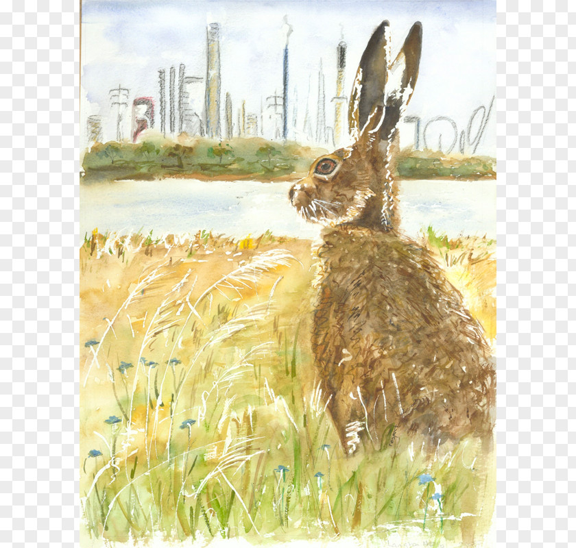 Painting Hare Fauna Wildlife Tail PNG