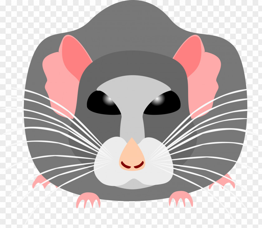 Whiskers Snout Clip Art PNG