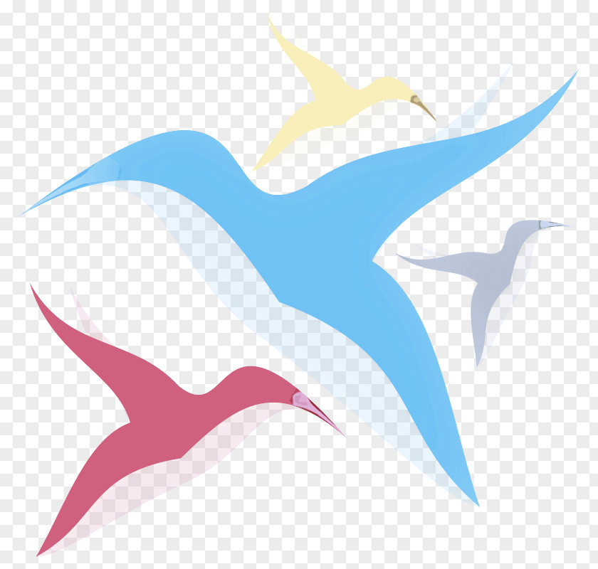 Wing Swallow Clip Art Seabird PNG