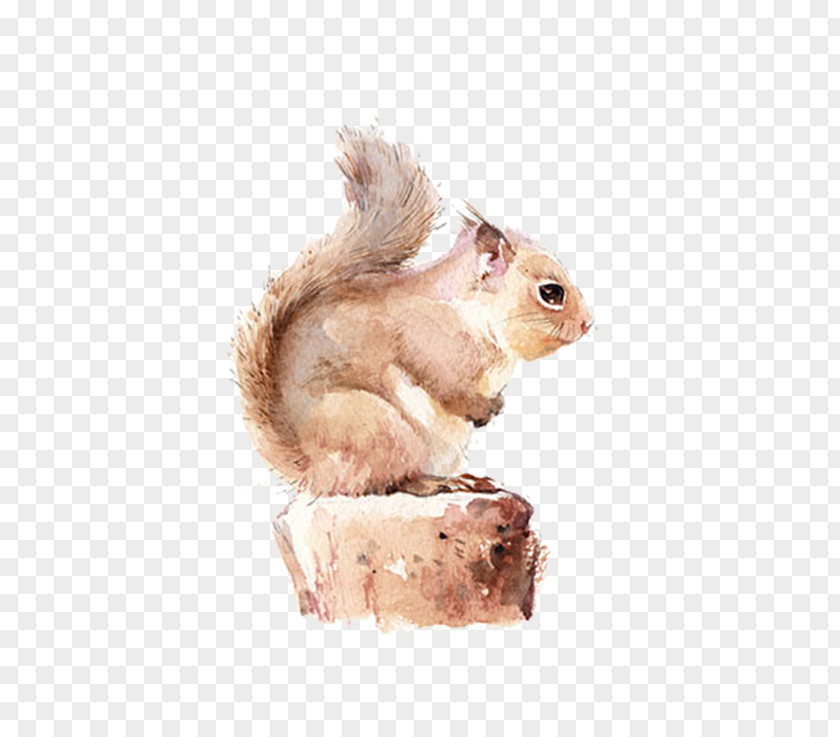Brown Squirrel Chipmunk Watercolor Painting PNG