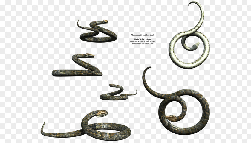 Curling Snake DeviantArt Drawing PNG