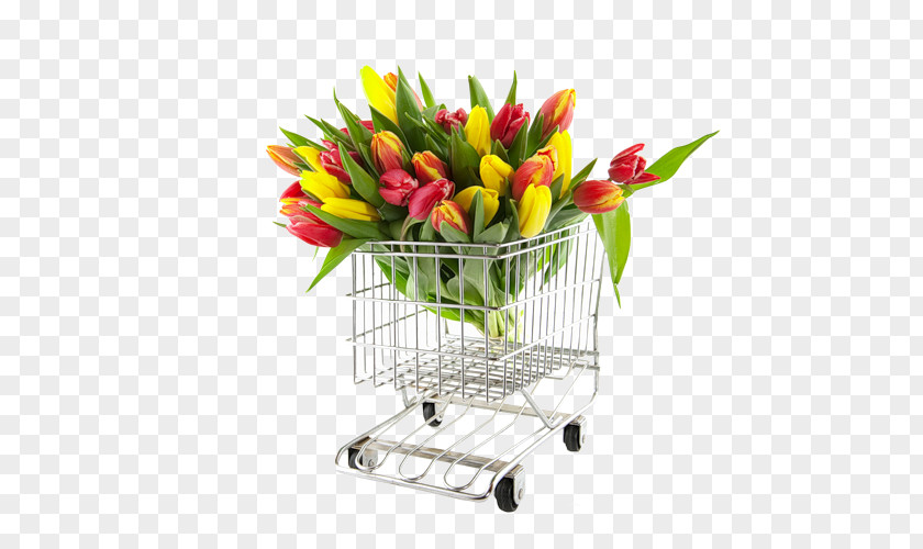 Happy Women's Day Flower Bouquet Tulip Aalsmeer Auction Nosegay PNG