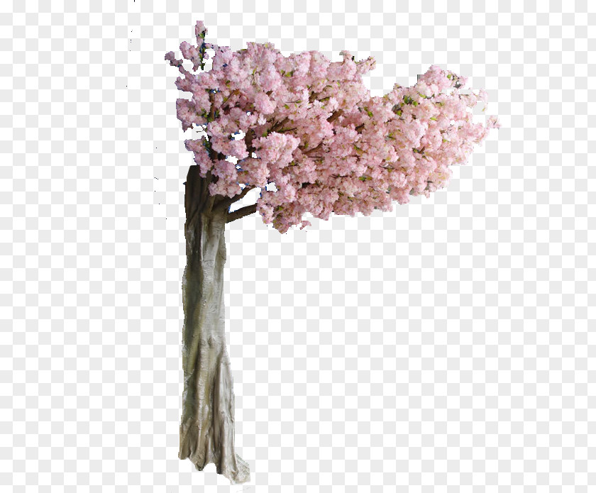 Pink Cherry Tree Image Simulation Blossom PNG
