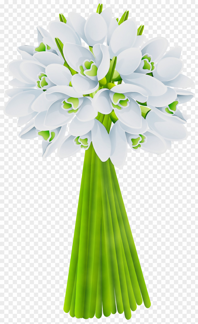 Plant Stem Agapanthus Flower Cut Flowers Bouquet Flowering PNG