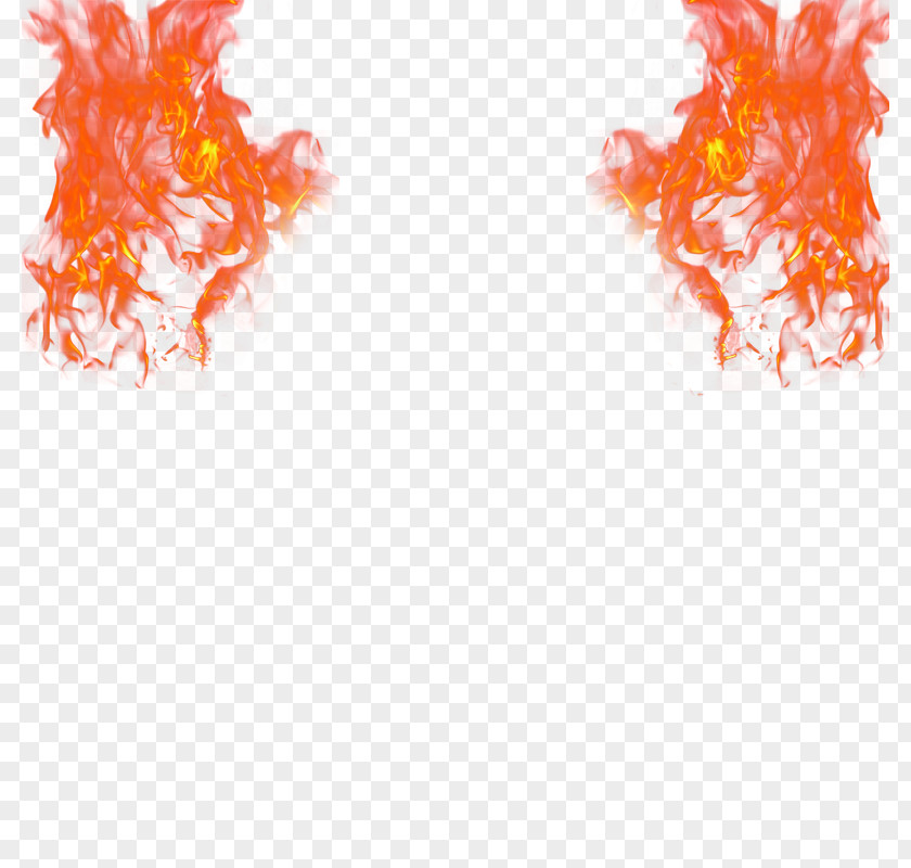 Vector Fireball Fire Flame Light PNG