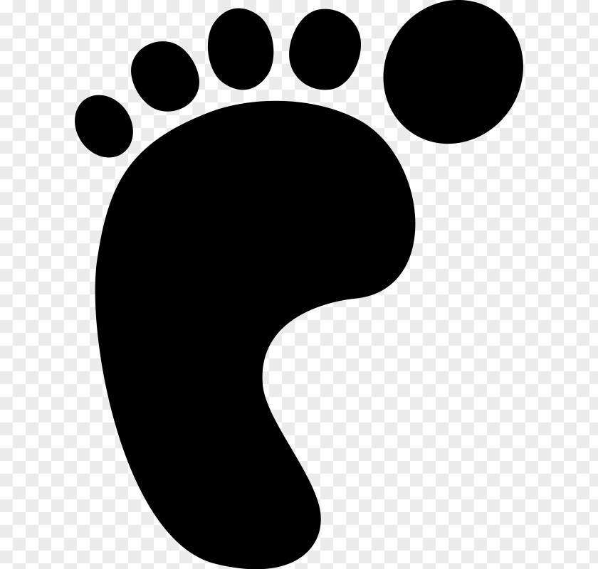 Black Footprint Dinosaur Footprints Reservation Clip Art PNG