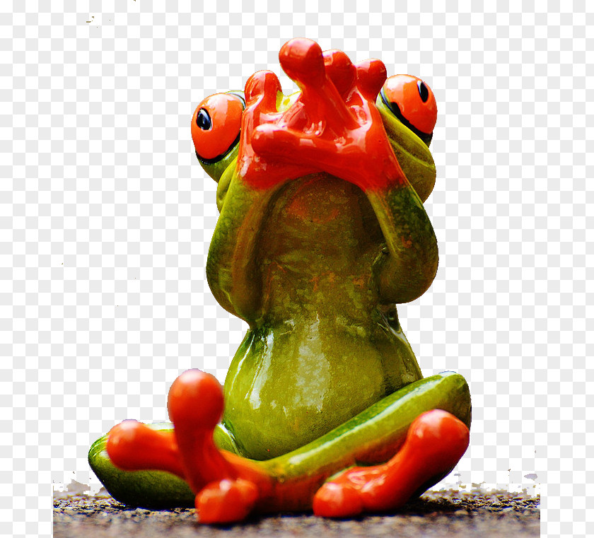 Cute Funny Frog Humour Download Photography PNG