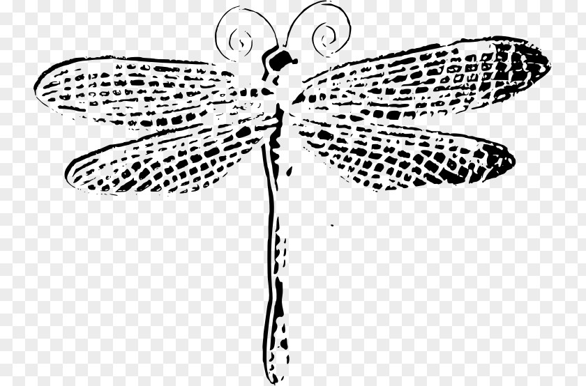 Dragonfly Insect Clip Art PNG