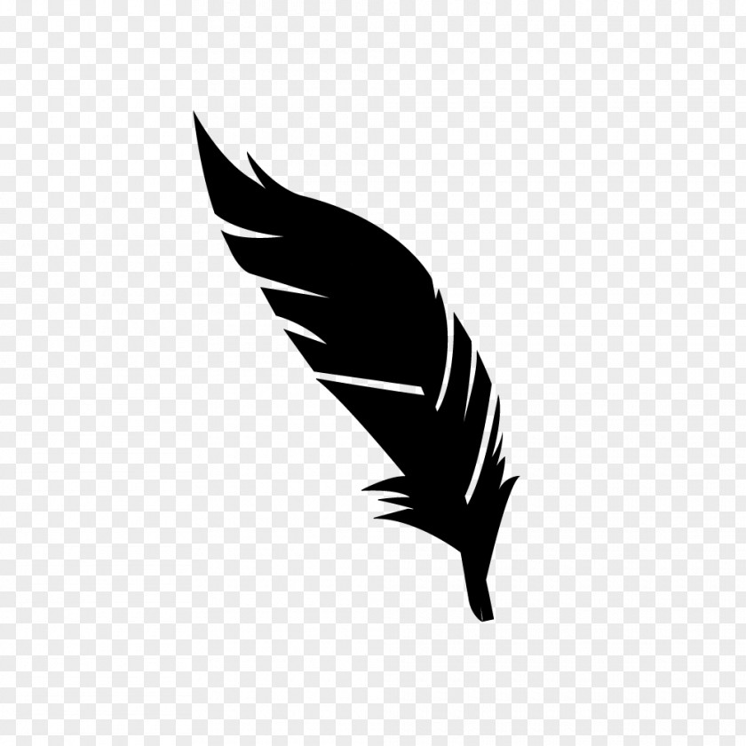 Leaf Feather Quill Font Beak PNG