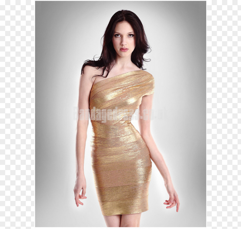 Noble Lace Cocktail Dress Bandage Evening Gown Sleeve PNG