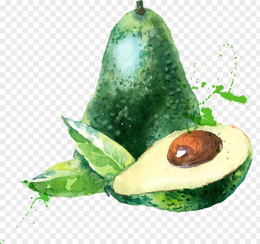 Pear Fruit Watercolor Painting Drawing PNG