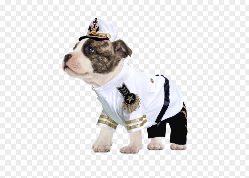 Puppy Dog Breed Halloween Costume Boston Terrier PNG
