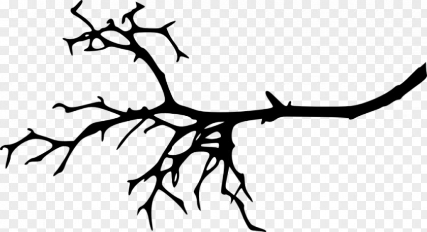 Silhouette Twig Branch Clip Art PNG