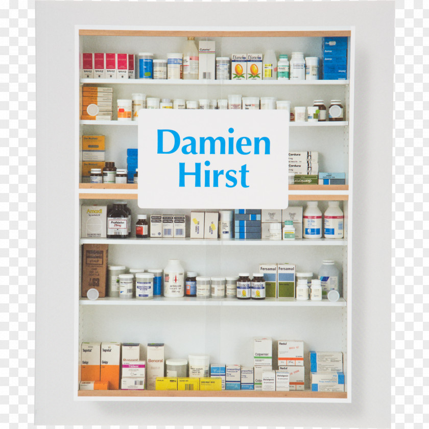 Damien Hirst Relics Tate Britain Modern Amazon.com Book PNG