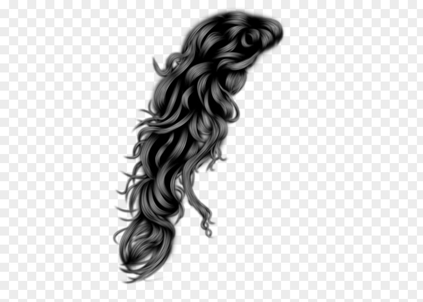 Hair Hairstyle Clip Art Black PNG