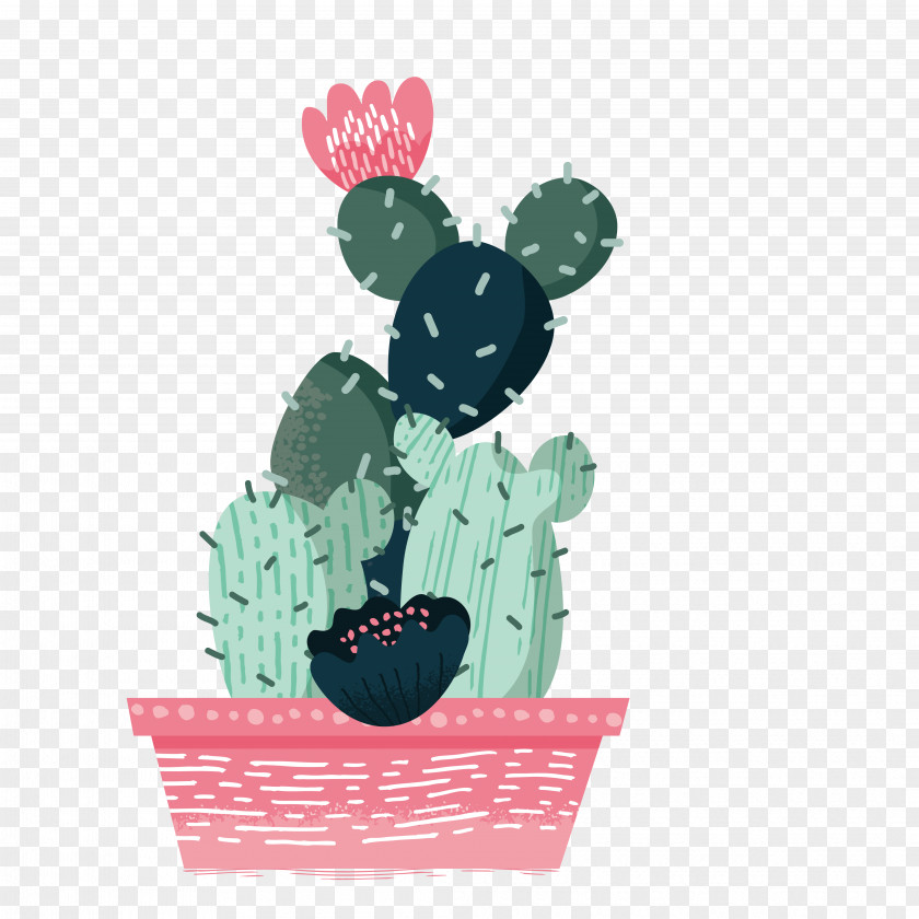 Living Room Potted Cactus Cactaceae Euclidean Vector PNG