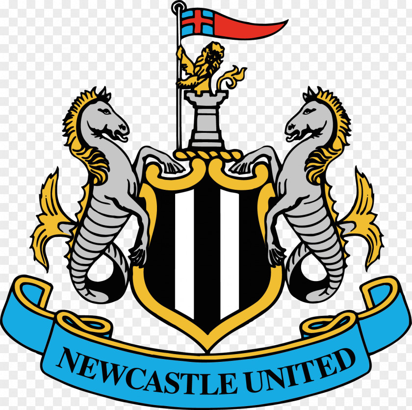 Premier League St James' Park Newcastle United F.C. Liverpool Southampton PNG