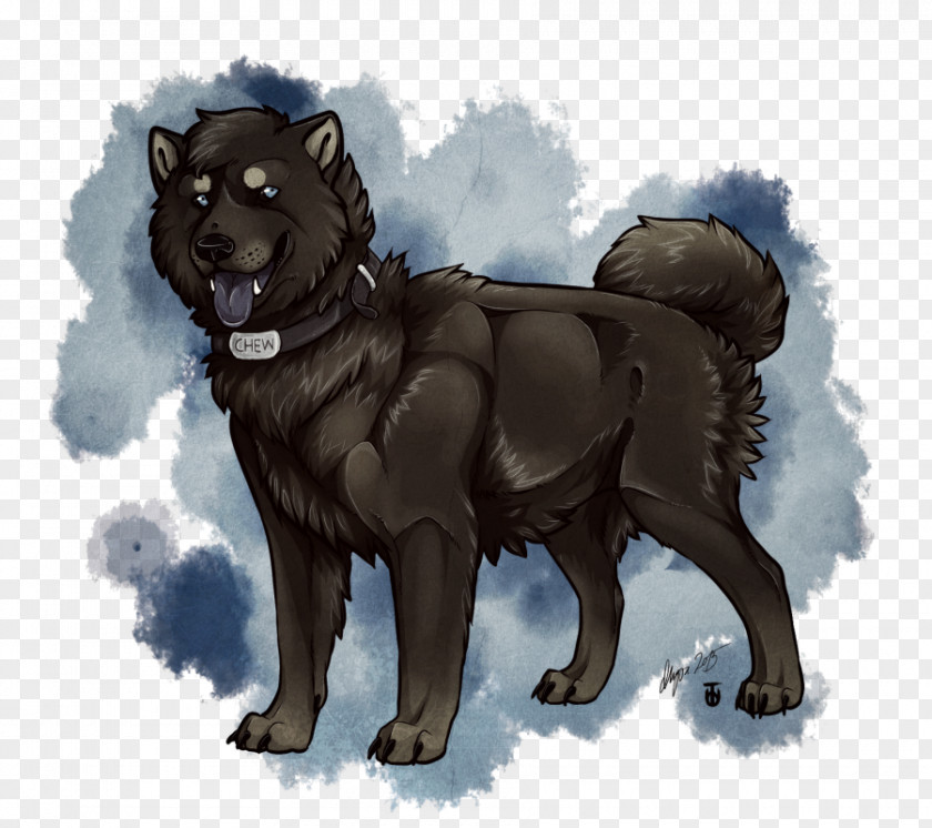 Puppy Black Norwegian Elkhound Eurasier Greenland Dog Schipperke PNG