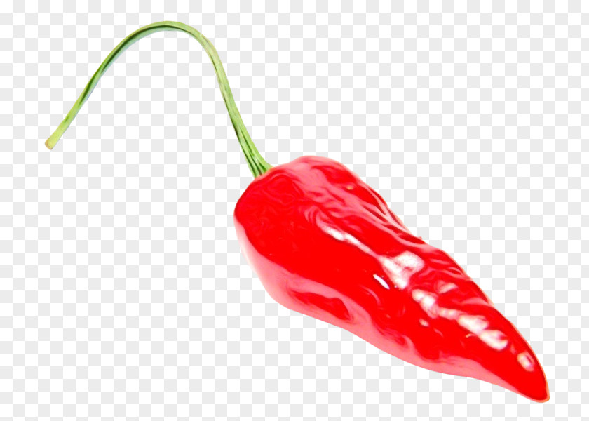 Red Peperoncini Chili Pepper Malagueta Tabasco Bell Peppers And Piquillo PNG