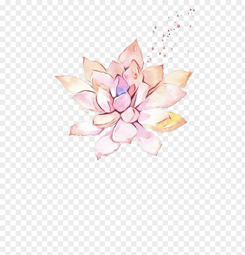 Sacred Lotus Aquatic Plant Pink Petal Flower Family PNG