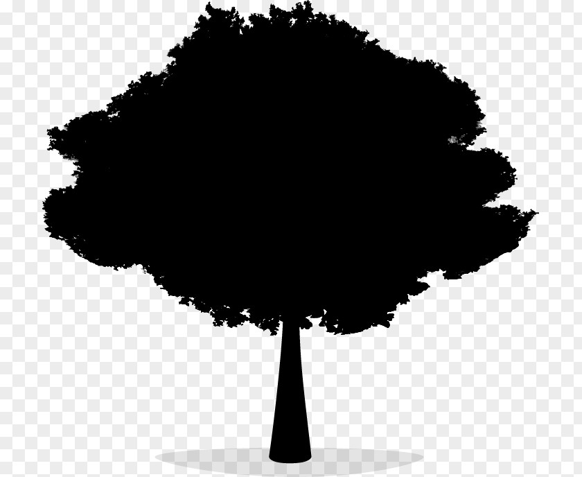 Tree Silhouette Font Leaf Sky PNG