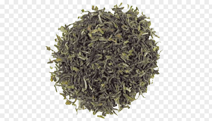 Assam Tea Nilgiri Biluochun Earl Grey Oolong PNG