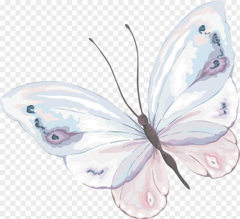 Butterfly Watercolor Painting Photography PNG