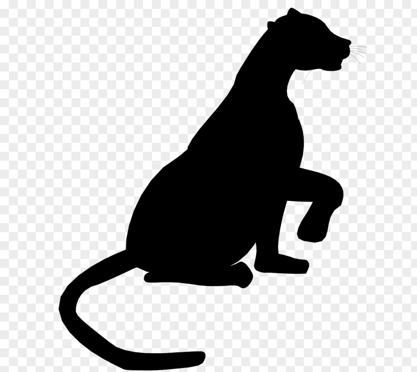 Cat Dog Clip Art Mammal Canidae PNG