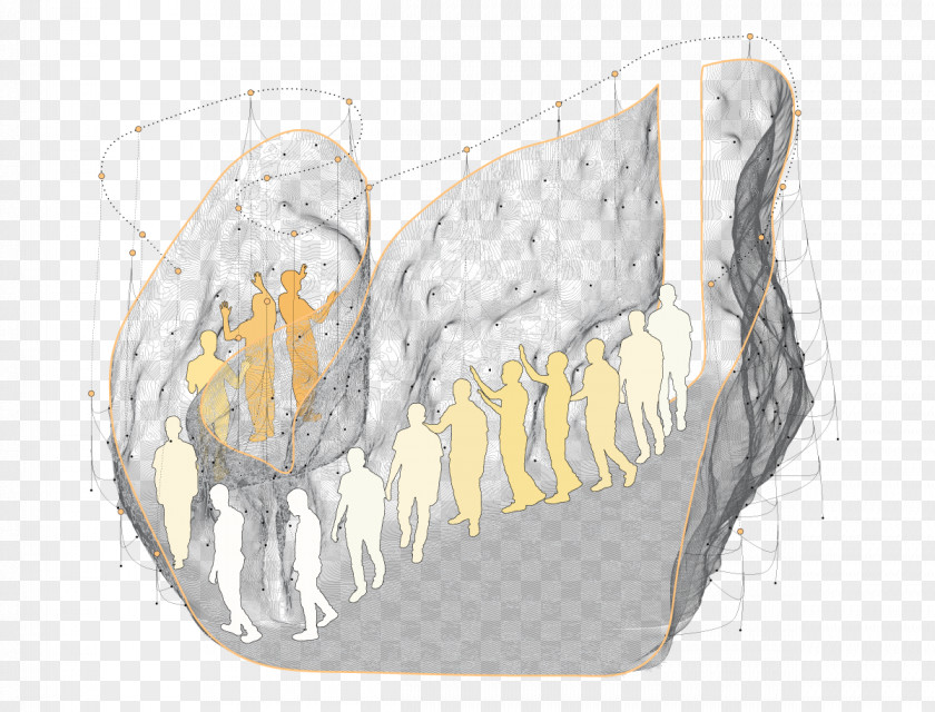 Design Drawing Bone PNG