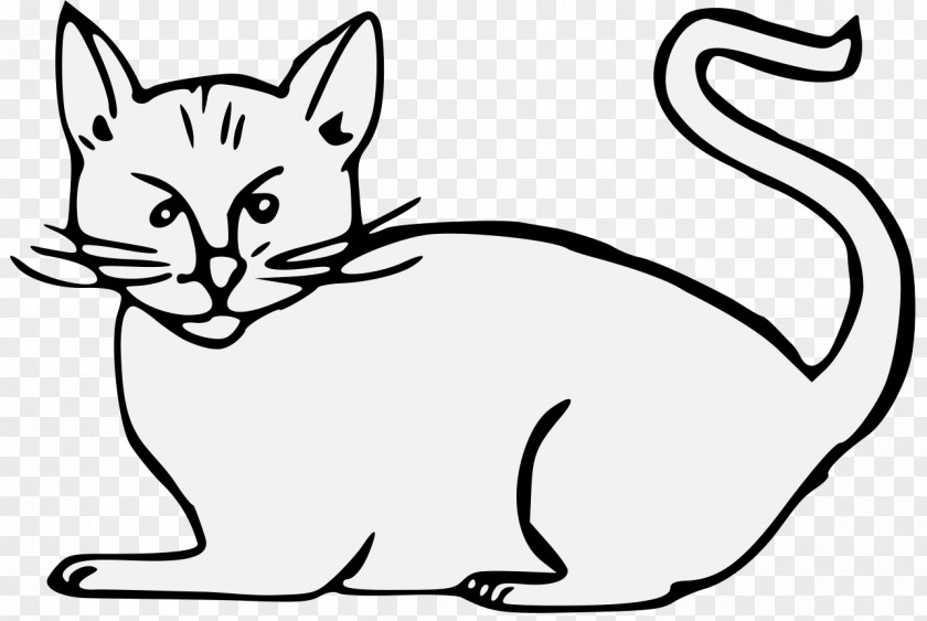 Whisk Wildcat Kitten Whiskers Tabby Cat PNG
