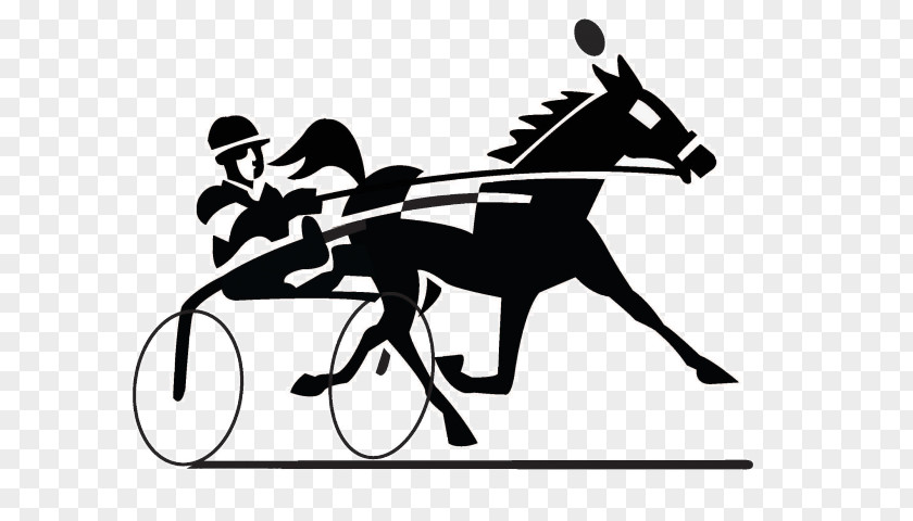 Drag Cartoon Standardbred Harness Racing Clip Art Horse Openclipart PNG