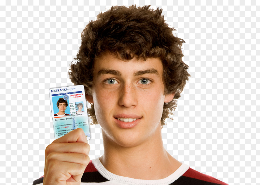 Driver Car Learner's Permit Driver's License Education Driving PNG