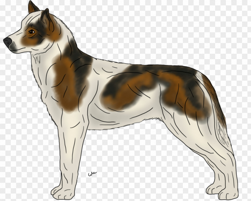 Lakeside Ancient Dog Breeds Companion Rough Collie PNG