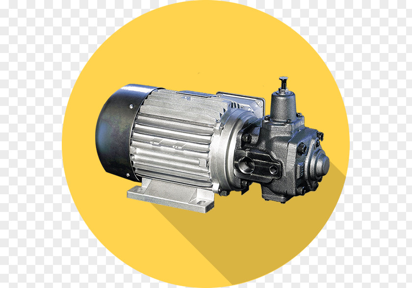 Millemotori Srl Rotary Vane Pump Oleodinamica Berarma Variable Displacement PNG