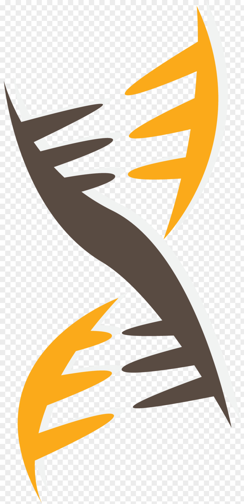 Molecular Genetics Vector Graphics Nucleic Acid Double Helix PNG