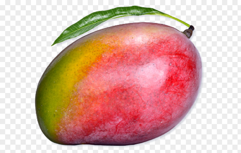 Superfood Accessory Fruit Mango Cartoon PNG