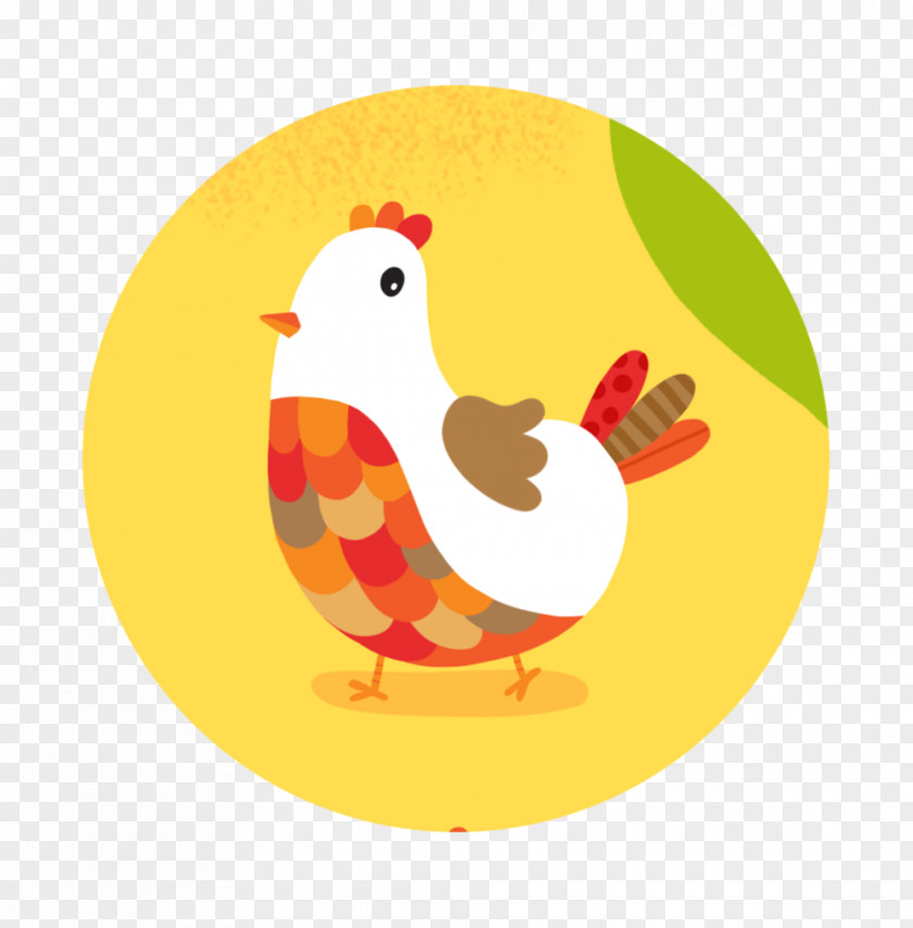 Chicken Illustration Rooster Illustrator Drawing PNG