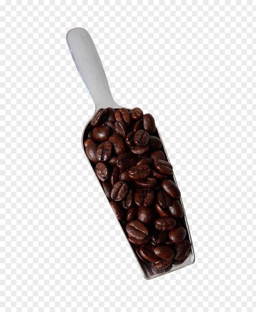 Coffee Beans Bean Cafe Cup PNG