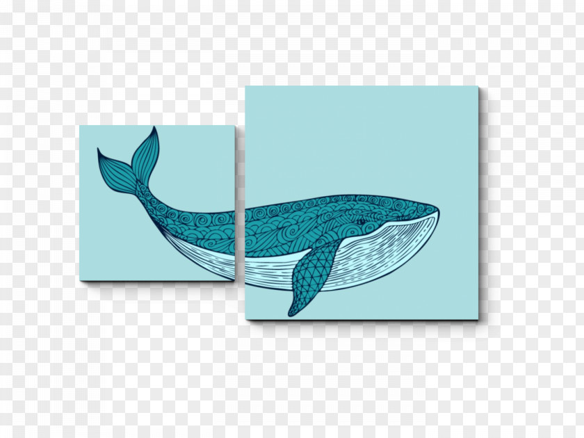 Dolphin Cetacea Marine Mammal Blue Whale Clip Art PNG