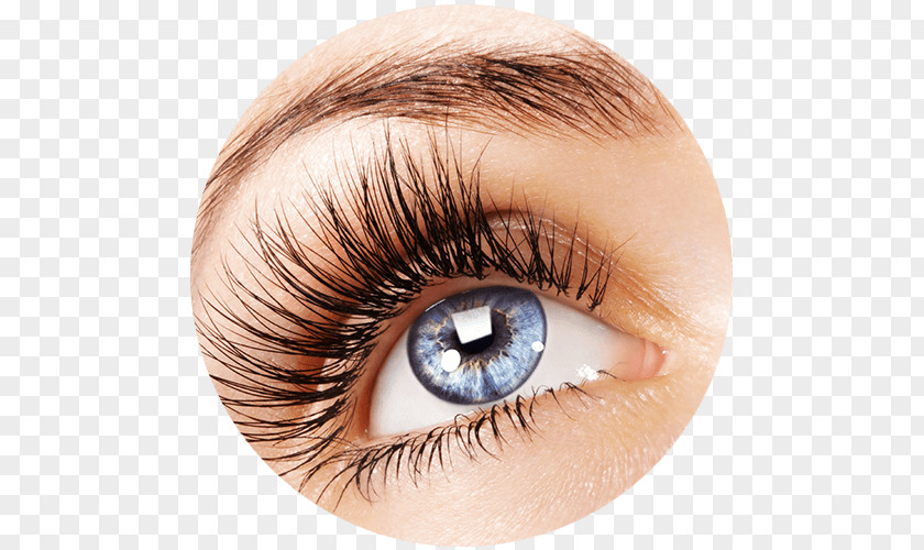 Eyelash Extensions Beauty Parlour Hair Coloring Mascara PNG