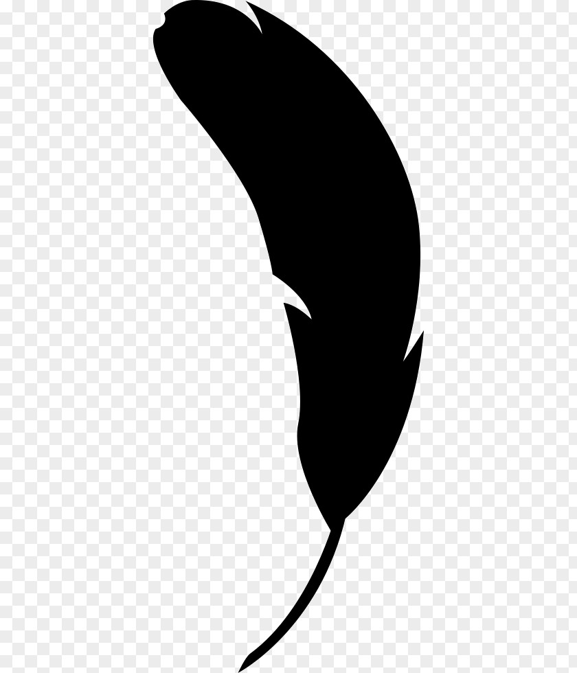 Feather Shape Clip Art PNG