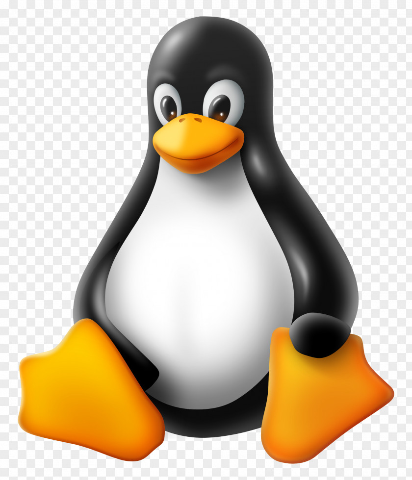 Linux Tux Racer T-shirt Kernel PNG