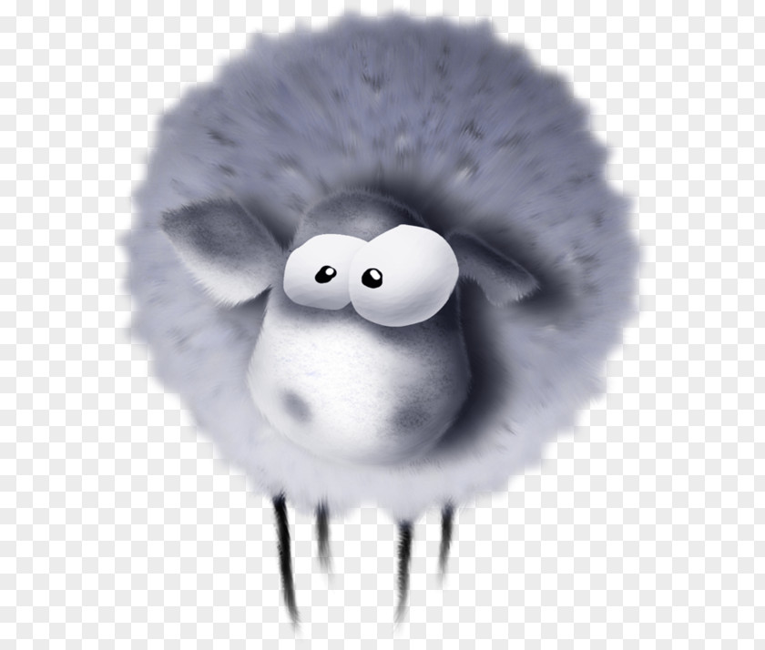 Sheep White PNG