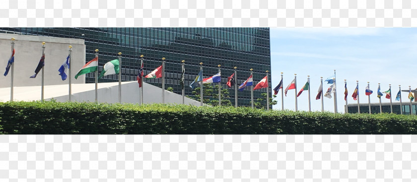 United Nations University International Relations Career Flag Of The Job PNG